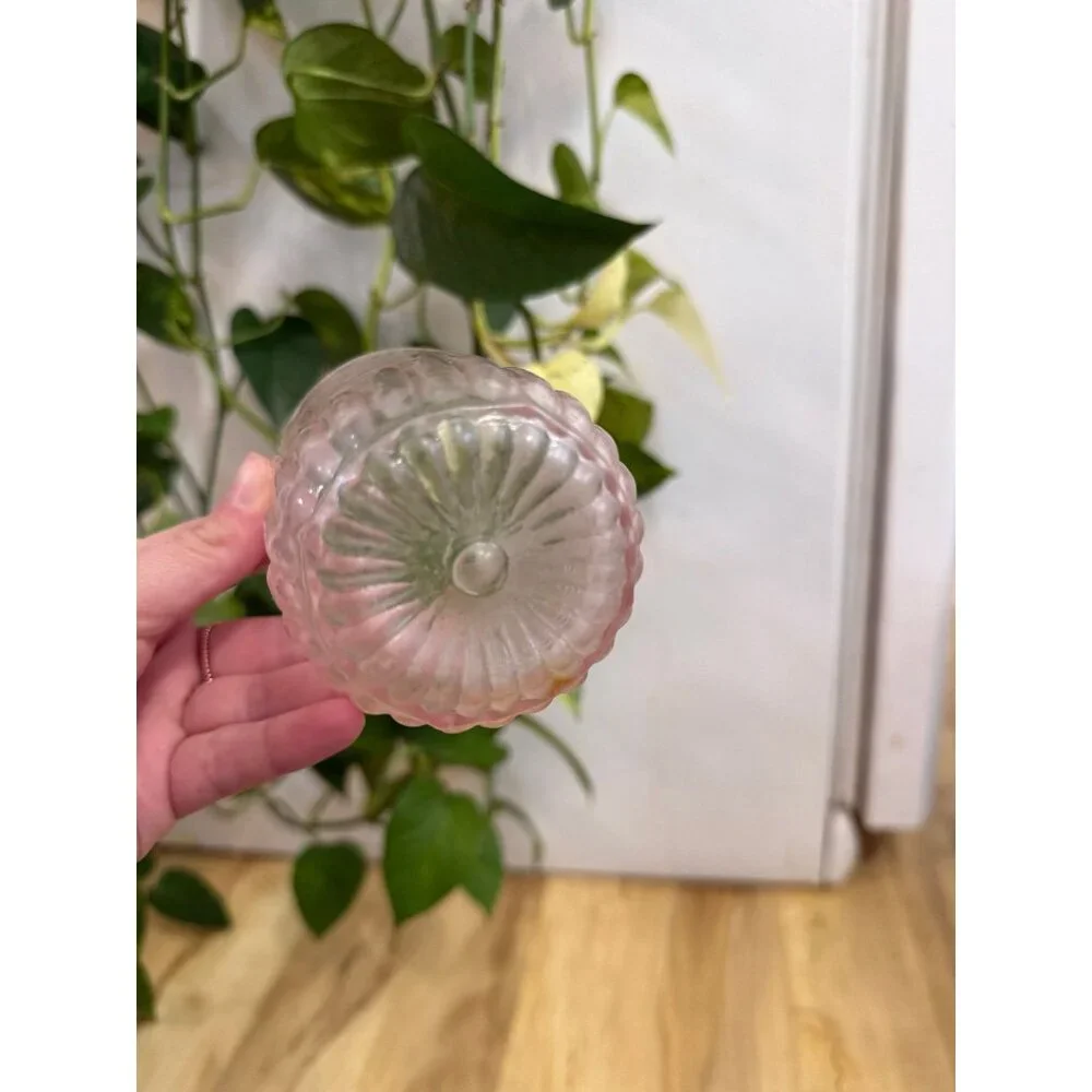 Textured Clear Glass Tumbler Cup